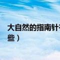 大自然的指南针有哪些怎么辨别方向（大自然的指南针有哪些）