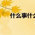 什么事什么风的成语（什么风的成语）