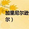 加里尼尔逊企业DNA四个基本要素（加里尼尔）
