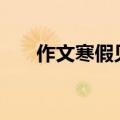作文寒假见闻800字（作文寒假见闻）