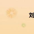 刘如意简介（刘如意）