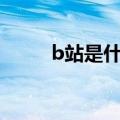 b站是什么意思（a站是什么意思）