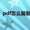 pdf怎么复制文字格式（pdf怎么复制文字）