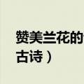 赞美兰花的诗句千古名句（赞美兰花的诗句 古诗）
