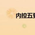 内控五要素金字塔（内控五要素）
