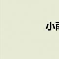 小雨衣是什么（小雨衣）