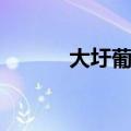 大圩葡萄采摘时间（大圩葡萄）