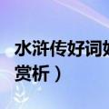 水浒传好词好句赏析及摘抄（水浒传好词好句赏析）
