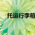 托运行李箱多少钱（行李箱托运要钱吗）