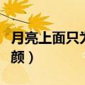 月亮上面只为看清你的容颜（只为看清你的容颜）