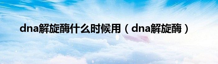 dna解旋酶什么时候用（dna解旋酶）
