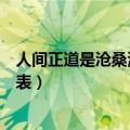 人间正道是沧桑演员表全部演员介绍（人间正道是沧桑演员表）