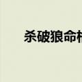 杀破狼命格到底有多惨（杀破狼命格）