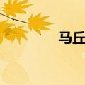 马丘比丘宪章（马丘比丘）