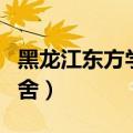 黑龙江东方学院宿舍寝室（黑龙江东方学院宿舍）