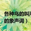各种鸟的叫声的象声词有哪些（各种鸟的叫声的象声词）