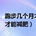 跑步几个月才能起到减肥的作用（跑步几个月才能减肥）
