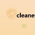 cleaned是什么词性（cleaned）
