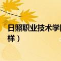 日照职业技术学院怎么样中外合办（日照职业技术学院怎么样）
