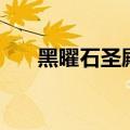 黑曜石圣殿在哪儿（黑曜石圣殿入口）