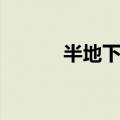 半地下室名词解释（半地下室）