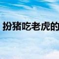 扮猪吃老虎的意思视频（扮猪吃老虎的意思）
