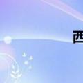 西安好玩的地方 免费