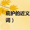 庇护的近义词是什么 标准答案（庇护的近义词）