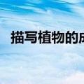 描写植物的成语有什么（描写植物的成语）