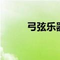弓弦乐器有哪些种类（弓弦乐器）