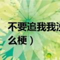 不要追我我没有急支糖浆什么梗（急支糖浆什么梗）