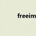 freeime是什么意思（freeime）