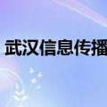 武汉信息传播职业技术学院（武汉信息传播）
