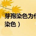 芽孢染色为什么要加热或延长染色时间（芽孢染色）