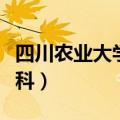四川农业大学专科考研条件（四川农业大学专科）