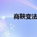 商鞅变法的内容（商鞅变法的背景）