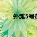 外滩5号黄鱼馆老板是谁（外滩5号）