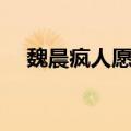 魏晨疯人愿表达什么意思（疯人愿魏晨）