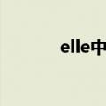 elle中文名（elle中文叫什么）