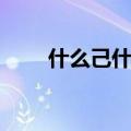什么己什么的成语（什么己复什么）