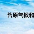 苔原气候和冰原气候的区别（苔原气候）