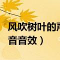 风吹树叶的声音是怎样产生的（风吹树叶的声音音效）