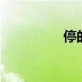 停的组词组（停的组词）