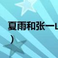 夏雨和张一山为什么长得一样（夏雨和张一山）