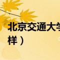 北京交通大学怎么样知乎（北京交通大学怎么样）