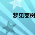 梦见枣树上结了好多枣（梦见枣树）