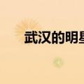 武汉的明星有哪些艺人（武汉的明星）