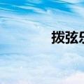 拨弦乐器有哪些（拨弦乐器）