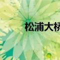 松浦大桥可以骑车吗?（松浦大桥）