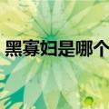 黑寡妇是哪个电影里的（黑寡妇是哪部电影）